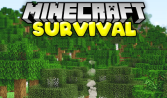 Minecraft Survival