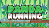 Panda Running